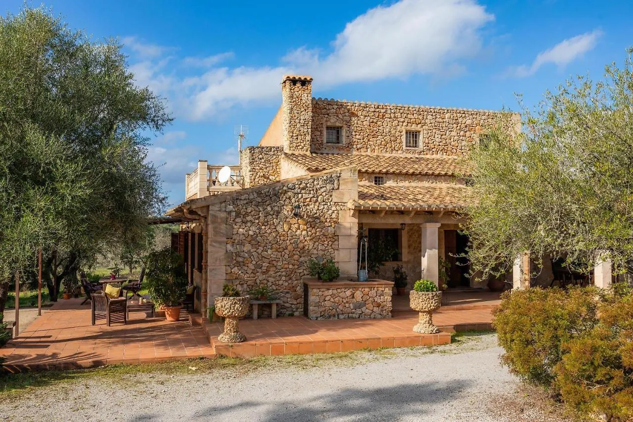 Cocotte Villa Ariany Spain