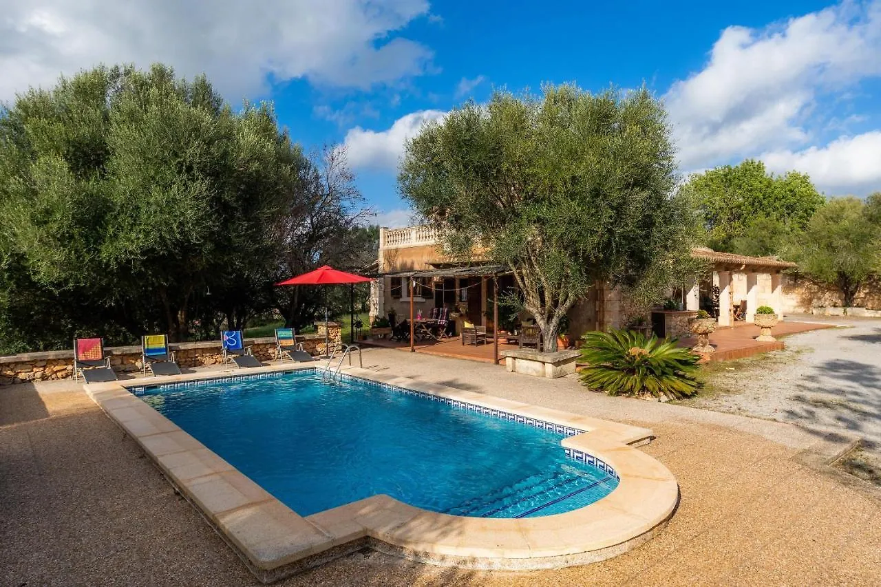 Cocotte Villa Ariany Spain